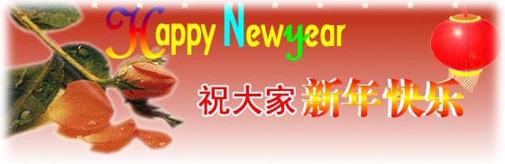 Happy New Year；祝大家新年快乐